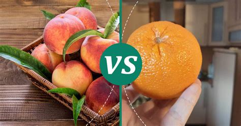 Orange Vs Peach What Should You Choose