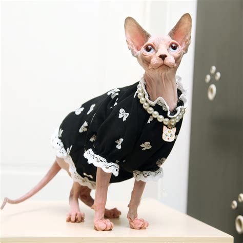 Sphynx Cat Dress Hairless Cat Clothes Summer Romper Catsuit Etsy