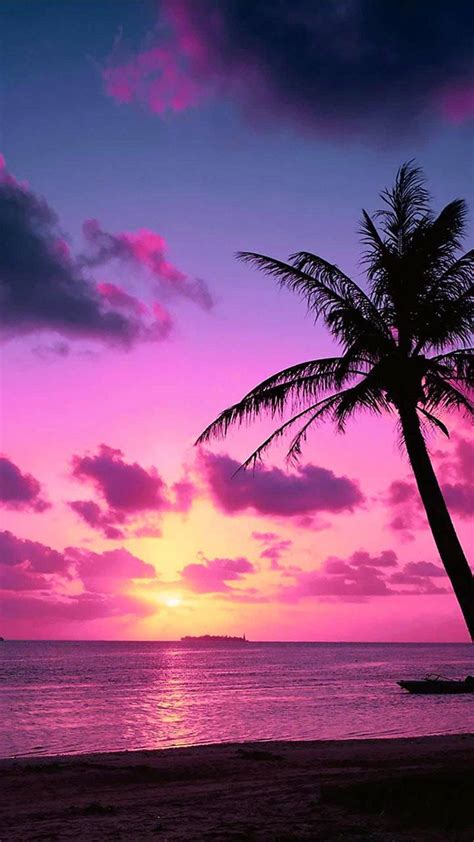 Tropical Pink Sunset Wallpaper By Goodfellagrl 16 Free On Zedge™