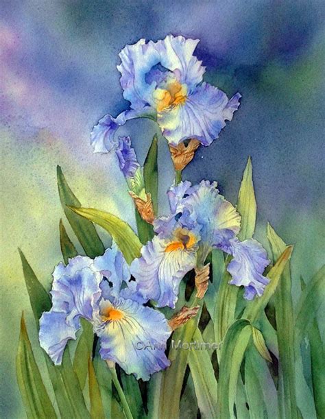 Irises Ann Mortimer 2015 Iris Painting Watercolor Flowers Paintings