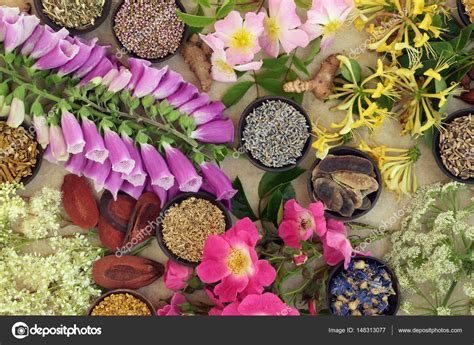 Medicinal Flower And Herb Selection Stock Photo By ©marilyna 148313077