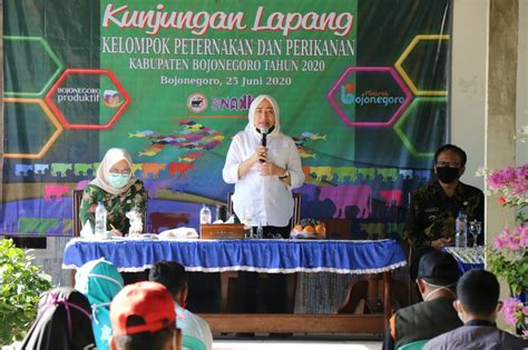 Ruko pacul bojonegoro raya cokroaminoto no 14 bojonegoro bojonegoro bojonegoro jawa timur 150 m ruko disewa oleh jasmin k rp 75 m tahun 17312318. Bupati Bojonegoro, Meminta Agar Setiap Desa Membentuk ...