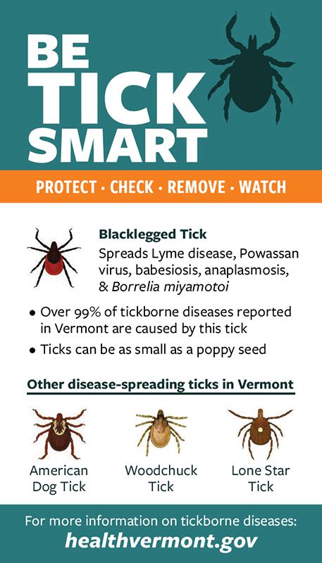 Prevent Tick Bites And Tickborne Diseases Vermont Department Of Health