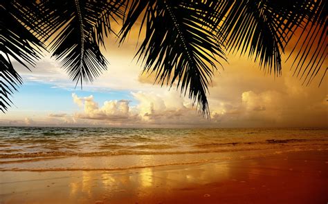 Free Download Hd Beach Wallpapers X For Your Desktop Mobile Tablet Explore On