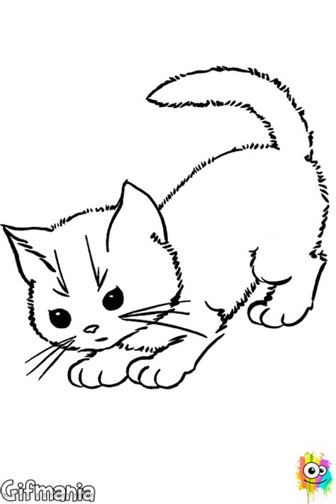 Dibujos Para Colorear Gatitos Bebes Dibujos Para Colorear