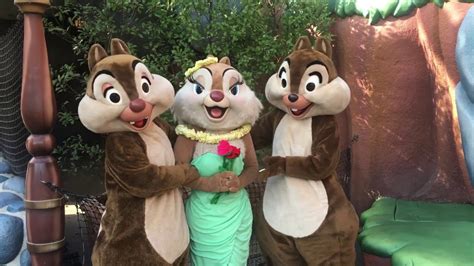 Chip And Dale Serenade Clarice For Valentines Day Disneyland Youtube