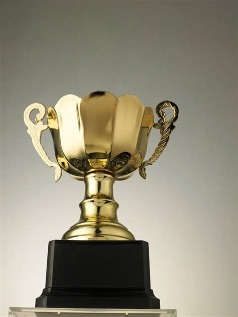 Golden Trophy Stock Photo Image Of Leadership Trophy 48403922