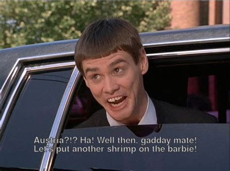 31 Very Funny Dumb And Dumber Meme Impossible To Forget Quotesbae