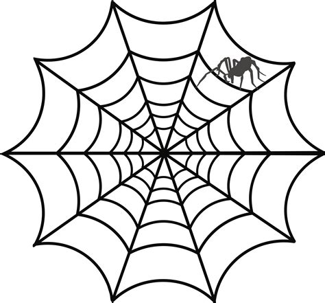 Spider Web Drawing Spider Png Download 24002234 Free Transparent