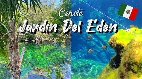A Day At Playa Del Carmens Most Beautiful Cenote Jardin Del Eden Youtube