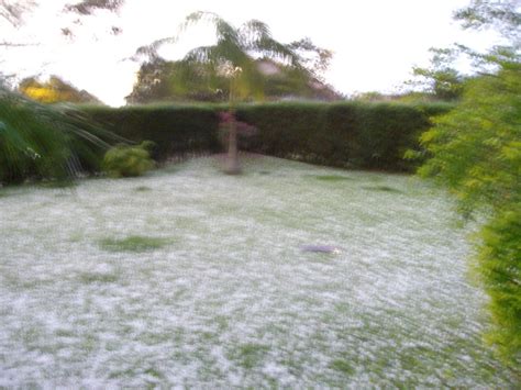 Meio ambiente, prefeitura de goiania, chuva de granizo, ivete sangalo, granizo, eliminatorias, vingadores: Anotações para Saber: Fotos de domingo lá em casa - Chuva ...