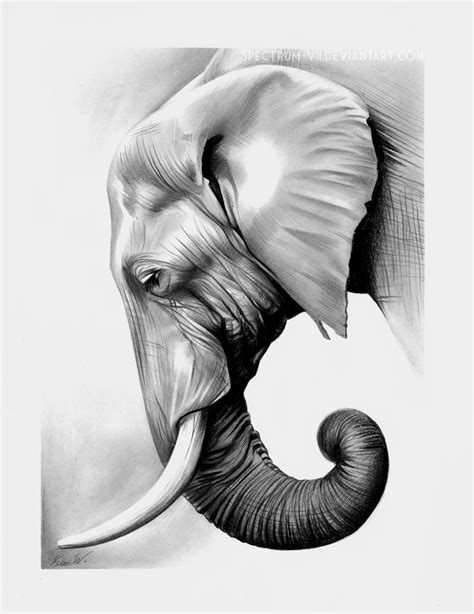 Feb 01, 2021 · mandalas are frequently incorporated into elephant tattoos in the background or in the form of an elaborate headpiece worn by the elephant. Elephant in graphite by Spectrum-VII on DeviantArt ...