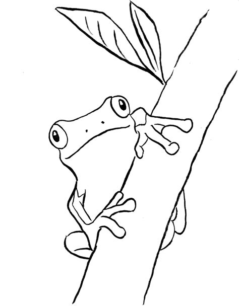 Tree Frog Coloring Page Samantha Bell