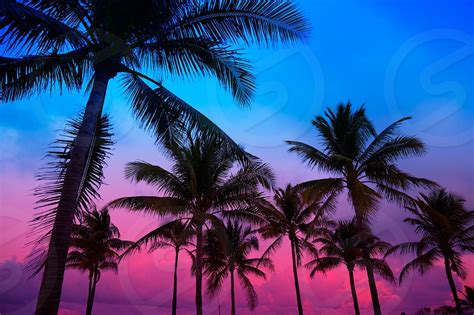 Miami Beach South Beach Sunset Palm Trees In Ocean Drive Florida By