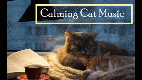 Music For Cats Relaxing Cat Music Help Cats Sleep And Relax Help Cats