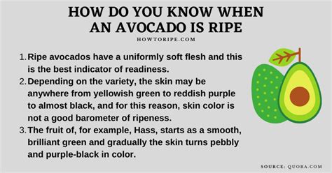 How To Tell If An Avocado Is Ready To Eat How To Ripe