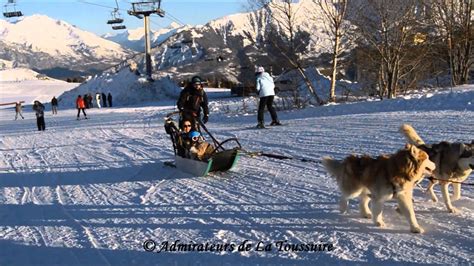 Une course de chiens de traîneaux est une compétition sportive désignant une course dans laquelle des attelages de chiens d'attelage tirent des traîneaux conduit par un musher sur la neige ou la glace au moyen de harnais et des lignes de trait. Chiens de Traineaux La Toussuire - YouTube