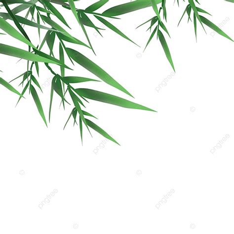 Bamboo Leaf Clipart Vector Bamboo Leaf Decoration Illustration Leaf