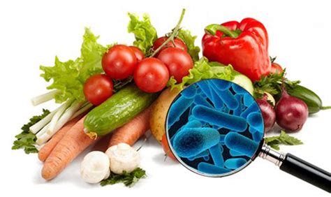 Bacterias Que Se Encuentran En Los Alimentos HOYSOY NET