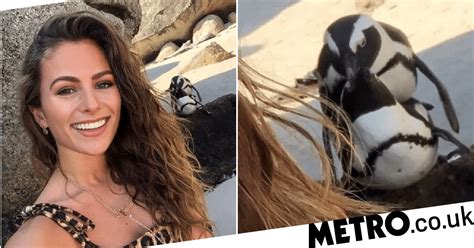 Influencer Apologises For Selfie With Penguins Having Sex Metro News