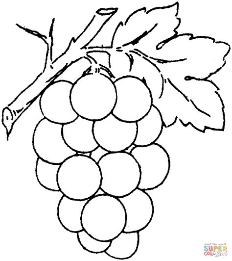 Grapes coloring page from grapes category. Grape 2 coloring page | Free Printable Coloring Pages
