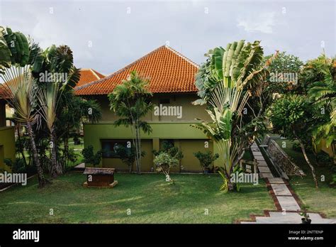 View home with green palm trees and lawn, tropical climate, living in