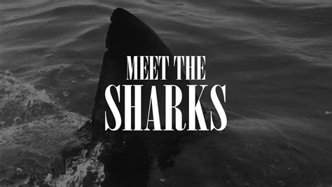 Meet The Sharks Shark Personalities David Ed Edwards