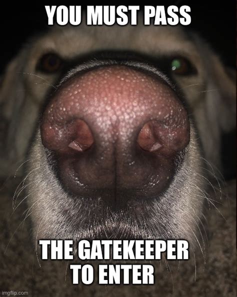 Gatekeeper Memes And S Imgflip