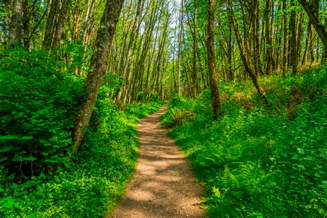 8 Great Seattle Trails To Hike This Weekend Secret Seattle