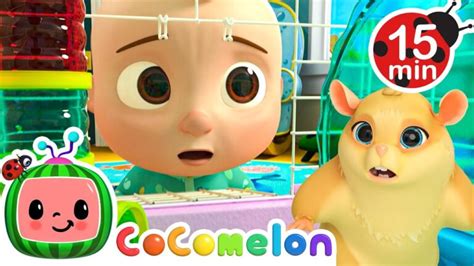 Lost Hamster Cocomelon Songs And Cartoons Best Videos For Babies