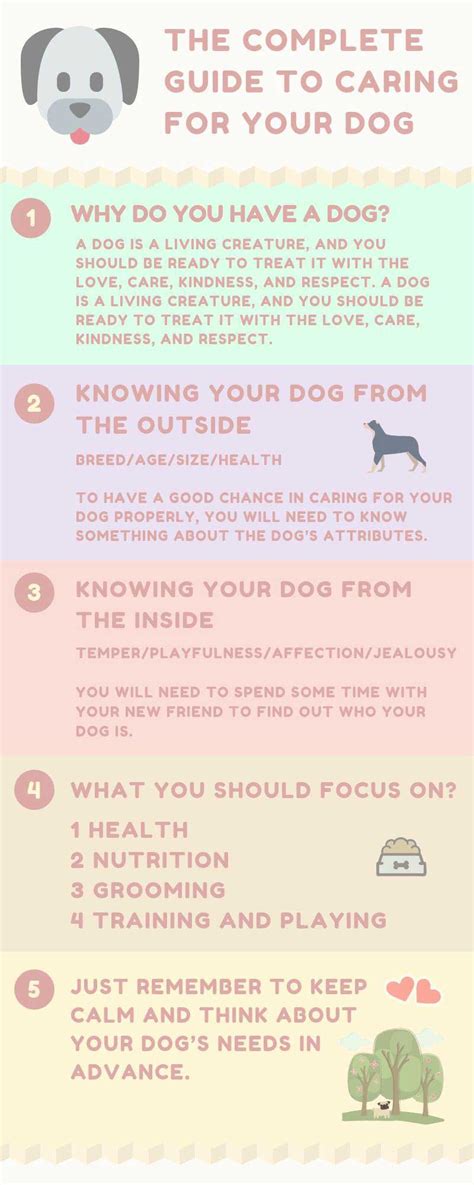 The Complete Guide To Caring For Your Dog