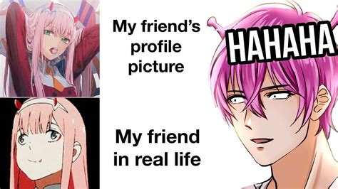 Download Anime Meme Profile Picture Wallpaper