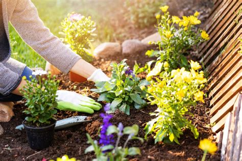 Sustainable Gardening A Guide Eco Friendly Gardening Tips