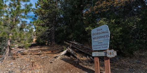 San Gorgonio Via Momyer Creek Trail Vivian Creek Trail Outdoor Project