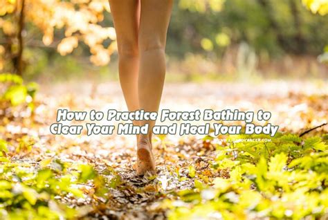 How To Practice Forest Bathing To Clear Your Mind And Heal Your Body