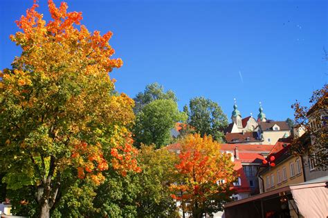 Die stadt landsberg am lech hat hotlines eingerichtet, an die sich die bürgerinnen und bürger, geschäftsleute und unternehmer mit ihren fragen wenden können Landsberg am Lech | Landsberg am lech, Landsberg