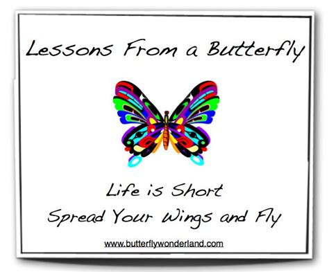 Pin By Butterfly Wonderland On Butterfly Poems And Quotes Butterfly
