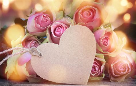 Wallpaper Roses Love Buds Heart Pink Flowers Romantic Roses