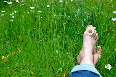 Feet On A Flower Meadow Stock Photo Image Of Colorful 43661262