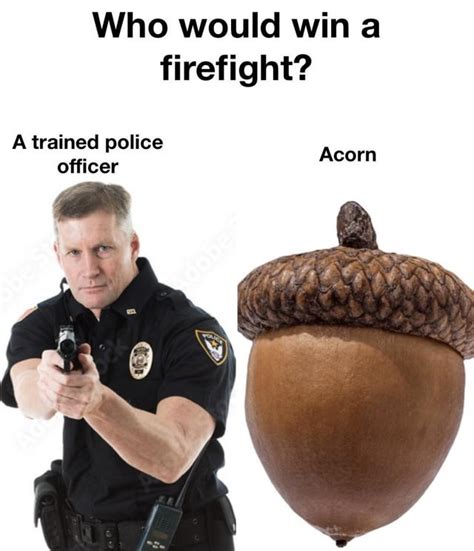 The Best Police Memes Memedroid
