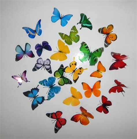 3d Butterflies The Rainbowmulti Coloured Collection Butterfly Decor