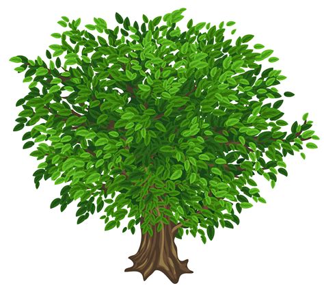Green Tree Clipart 20 Free Cliparts Download Images On Clipground 2022