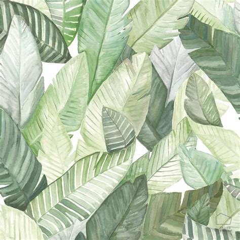 Papel Pintado Hojas Banano Oasis Tropical Siempre Verde En 2020