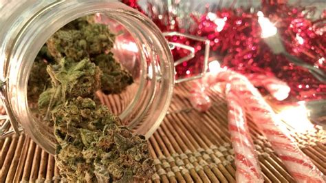 The 16 Best Holiday Ts For Cannabis Lovers In 2022 Boardroom