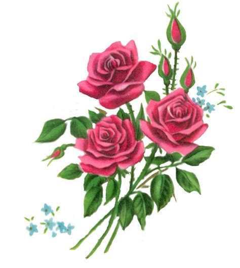 Vintage Rose Clip Art Free Download On Clipartmag