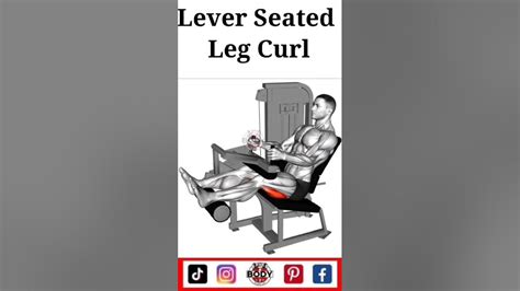 How To Perfect Leg Workout At Gym Part 1 Youtubeshorts Gym Ytshorts