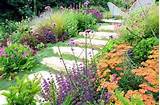 Photos of Ann Marie Powell Garden Designer