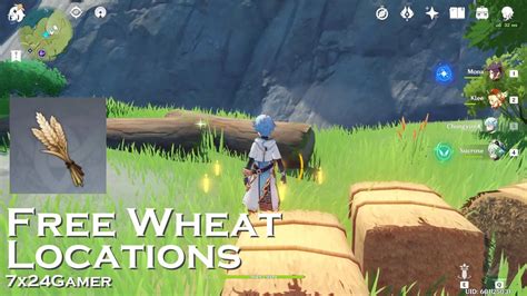7x24gamer Collecting 03 Free Wheat Genshin Impact Gameplay Youtube