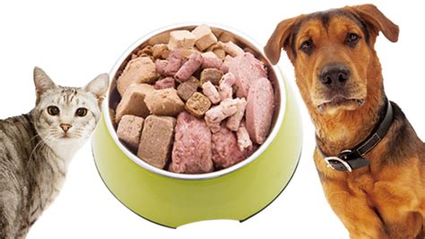 There are varying opinions about the amount of raw food to feed dogs and cats, and the amount can vary quite a bit with the metabolism and activity level of your pet. Salmonella Found in Three Raw Pet Food Posing Risk to Pet ...