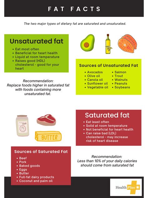 Monounsaturated Fat Examples